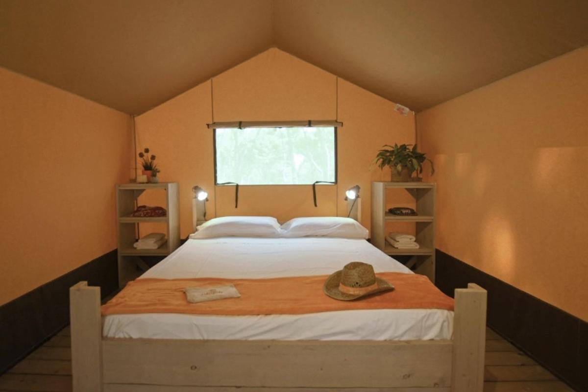 Delfino Tuscany Resort مارينا دي سيسينا المظهر الخارجي الصورة
