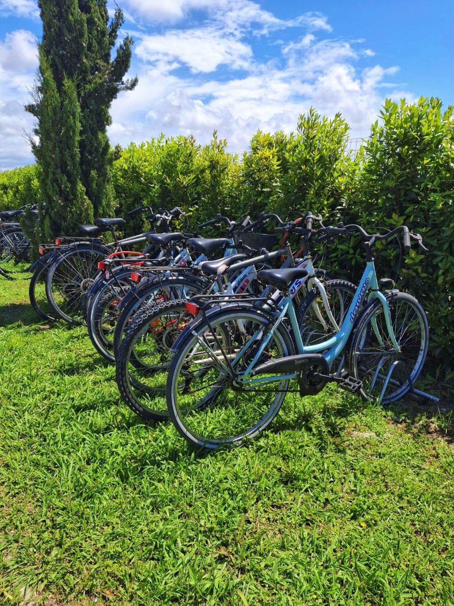 Delfino Tuscany Resort مارينا دي سيسينا المظهر الخارجي الصورة